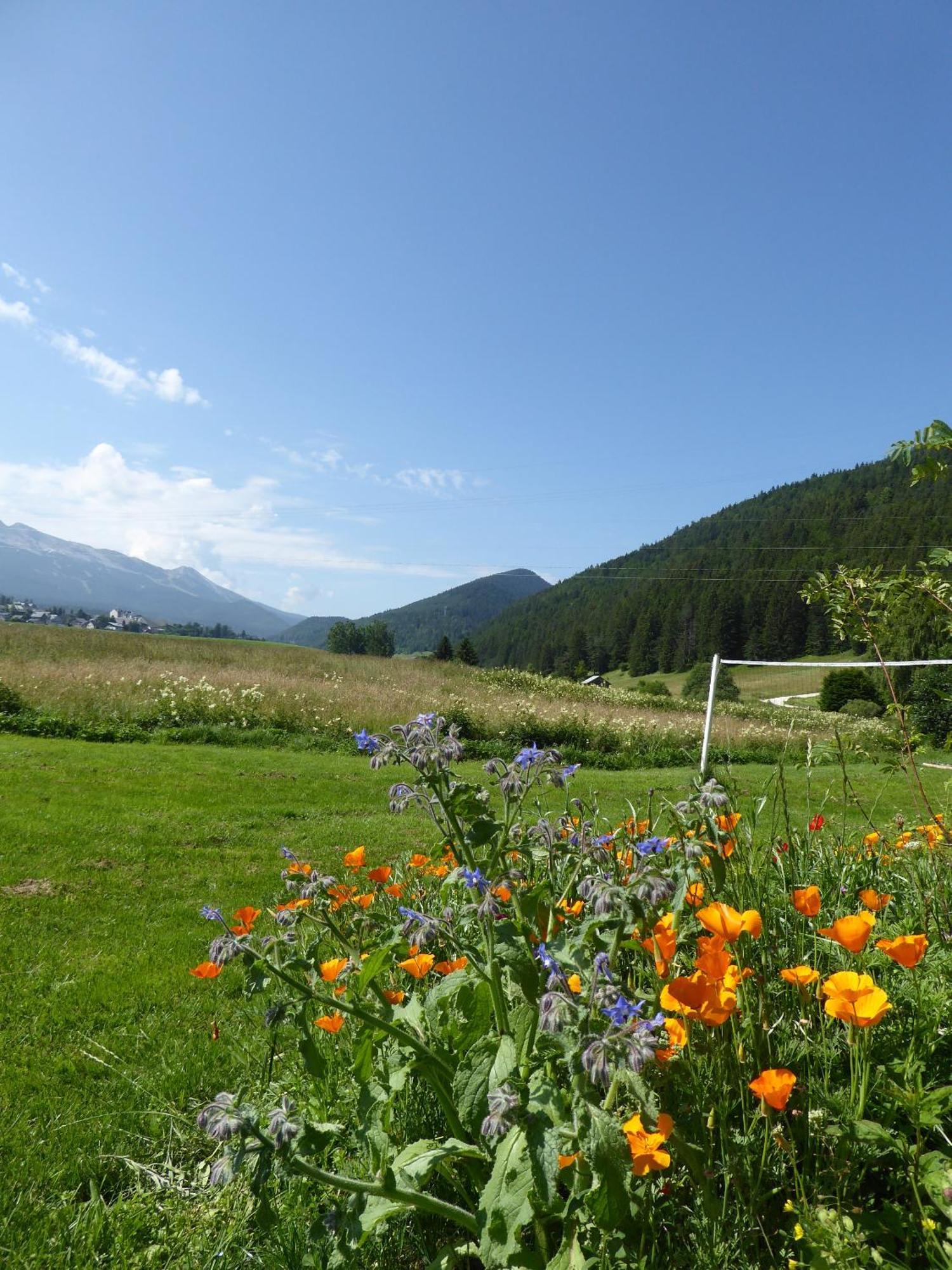 Affittacamere Ferme De La Grande Moucherolle